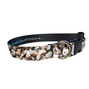 Coastal Supply Dog Collar in marine-grade nylon with adjustable quick-clip buckle and welded D-ring
