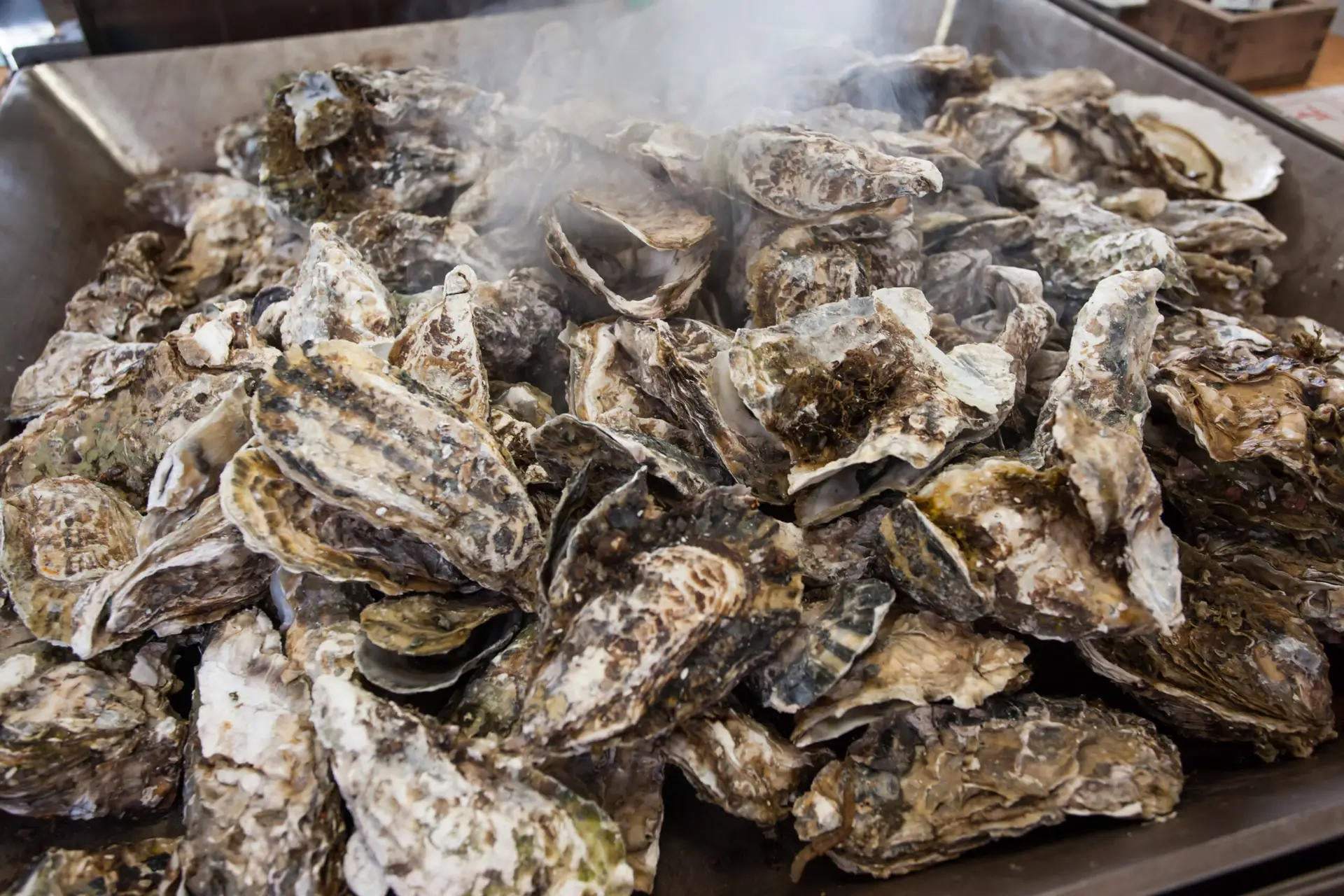 Oyster roast checklist with fire pit, cooler, shucking station, and serving setup for a Lowcountry oyster roast event