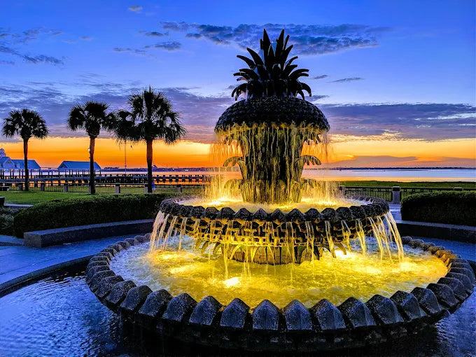 Waterfront Park Charleston with Pineapple Fountain and Cooper River views